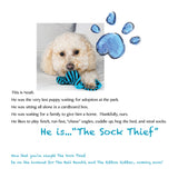 Most Wanted! The Sock Thief