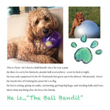 Most Wanted! The Ball Bandit